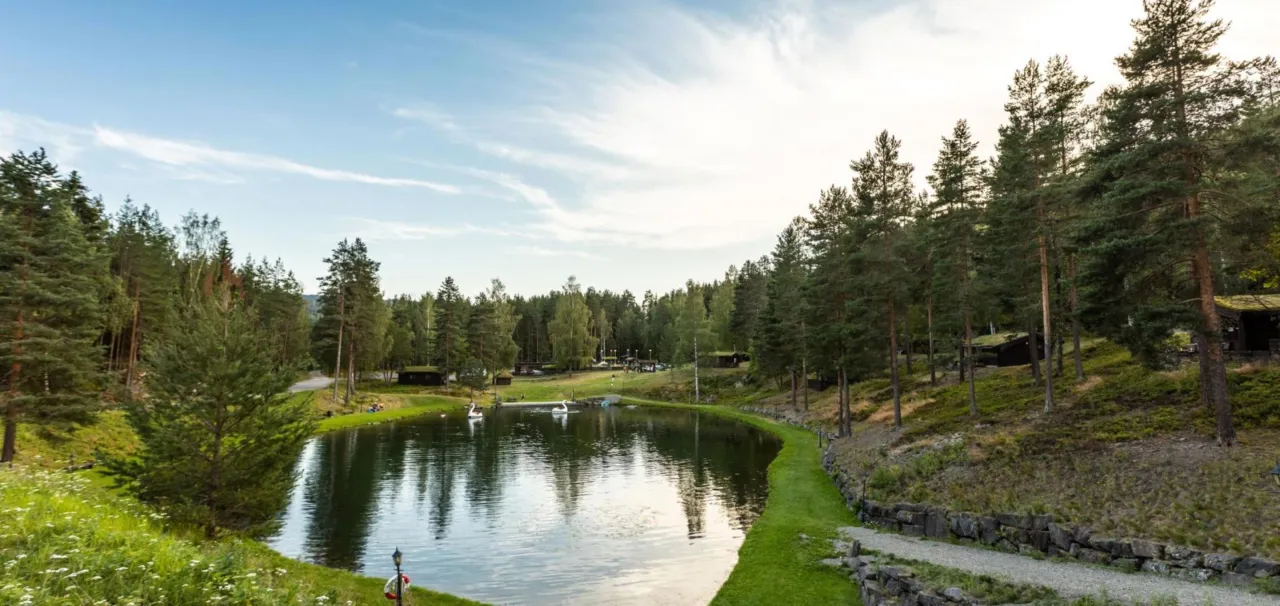 Svanesjøen, sommer, uteområde